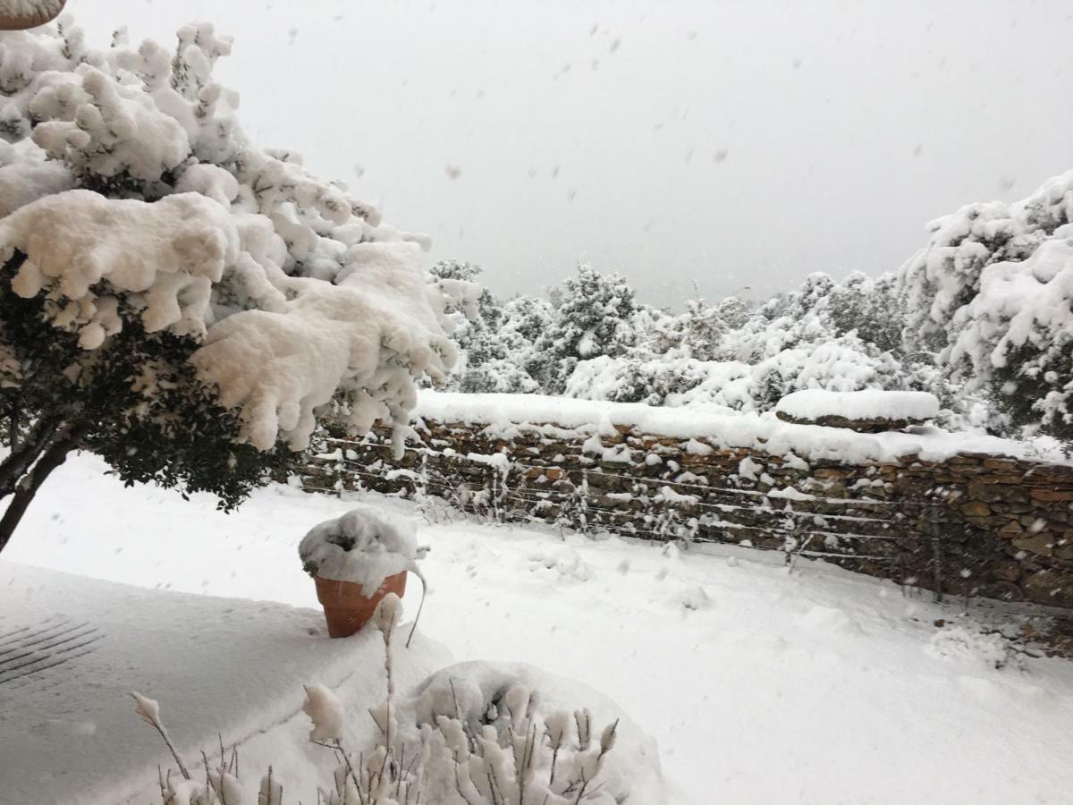 Le Massounet Panzió Besse-sur-Issole Kültér fotó